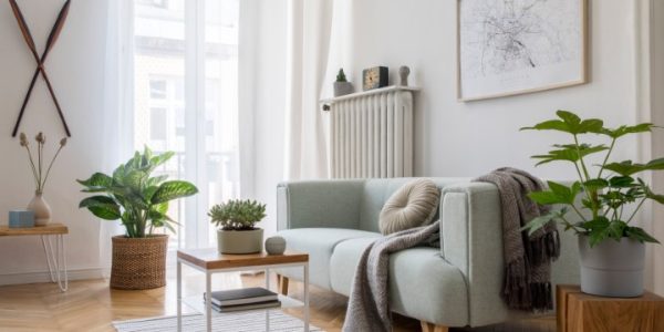 Stylish Scandinavian Living Room With Design Mint Sofa, Furnitur